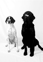Treats- German & Leo
