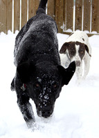 Leo & German in the snow