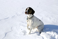 German in the snow